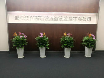东西湖公司办公室 鲜花绿植植物花卉盆栽租摆租赁养护