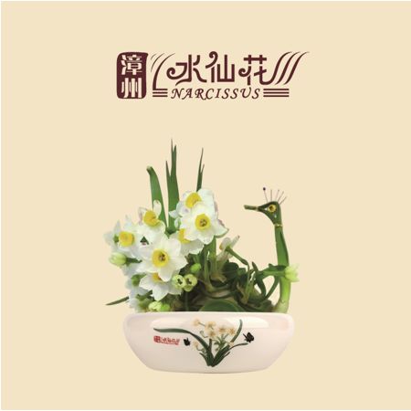 水仙花盆栽 精品雕刻2粒装