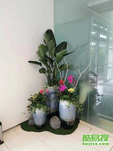 广州酷易搜