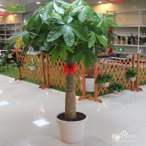 鲜花店如何进货