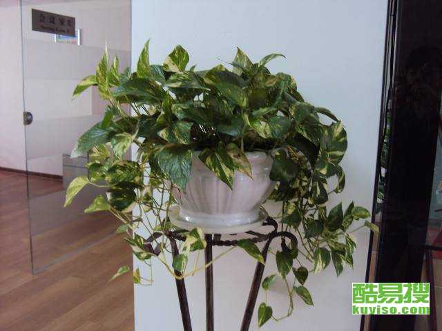 广州酷易搜