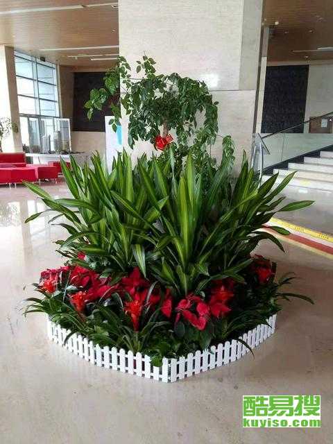天津酷易搜